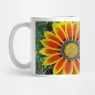 Gazania 2 Photography Mug